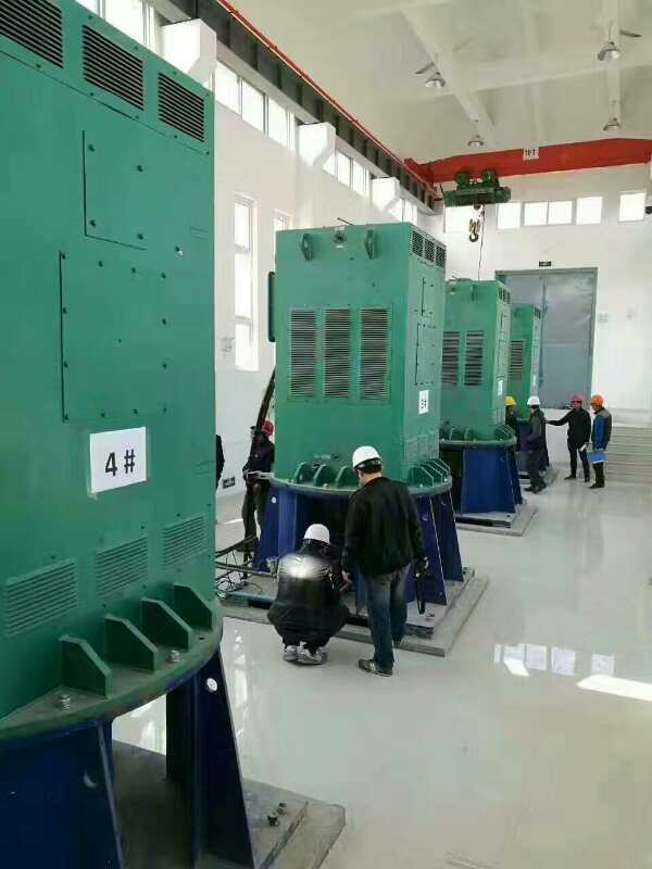 寿县某污水处理厂使用我厂的立式高压电机安装现场